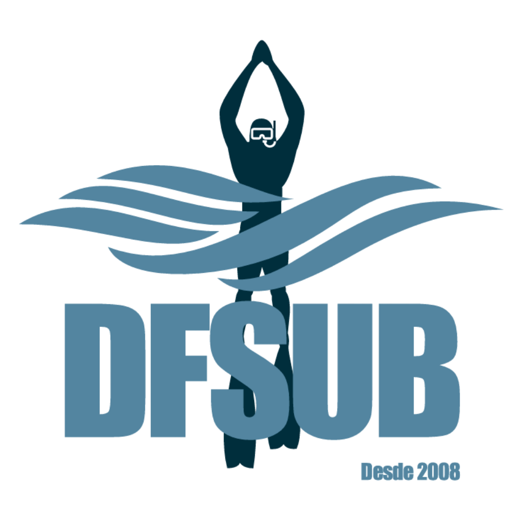Logo DFSUB
